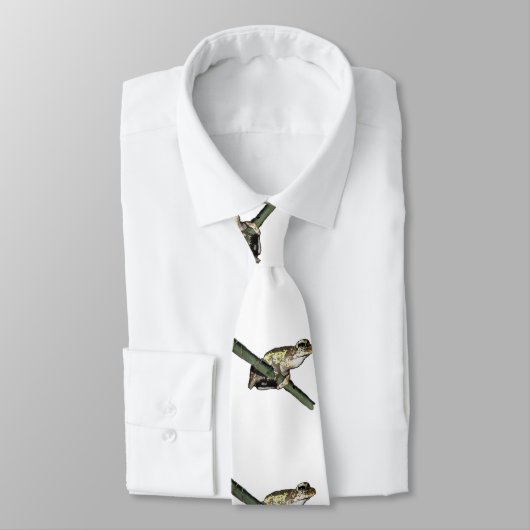 Groene kikker, schilderachtig, nekdas stropdas (Gebonden)