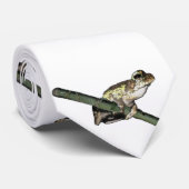 Groene kikker, schilderachtig, nekdas stropdas (Opgerold)