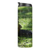 Groene kikker slaat een paal op de slang thermosbeker (Geroteerd rechts)