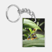 Groene kikker sleutelhanger (Voorkant Links)