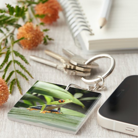 Groene kikker sleutelhanger (Voorkant Rechts)