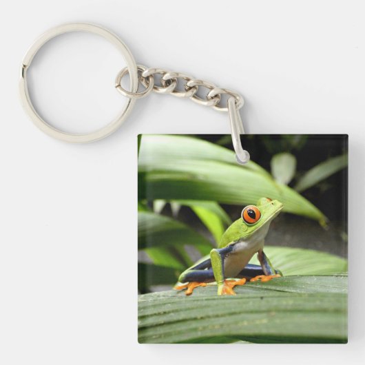 Groene kikker sleutelhanger (Voorkant)