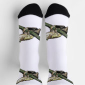 Groene kikker, Sokken van de knaap (Top)