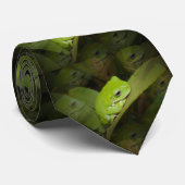 Groene kikker stropdas (Opgerold)