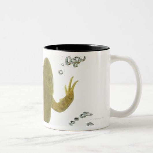 groene kikker tweekleurige koffiemok (Rechts)