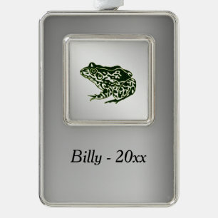 Groene kikker verzilverd omlijst ornament