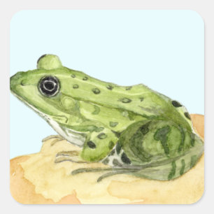Groene kikker vierkante sticker