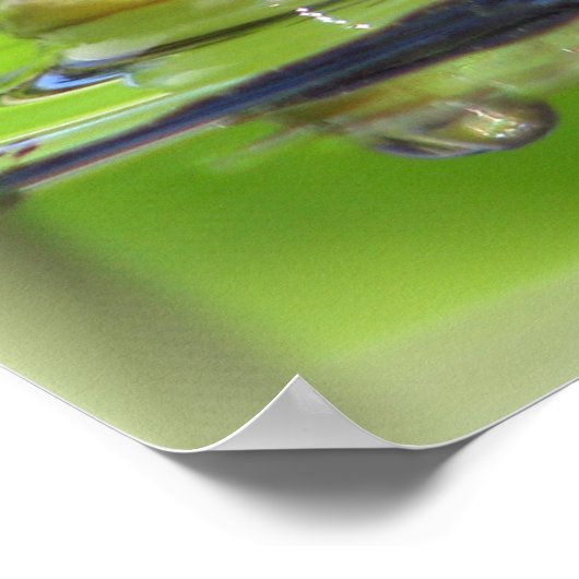 Groene kikkerafdrukken poster (Hoek)