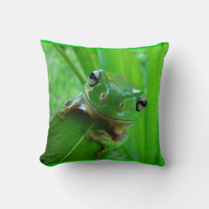 Groene kikkerbuis kussen