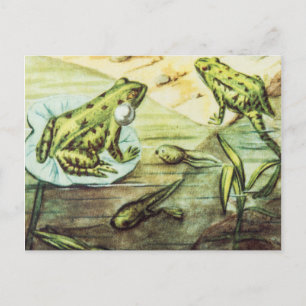 Groene kikkers, dierlijke illustratie briefkaart