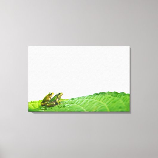 Groene kikkers met verlof canvas afdruk (Voorkant)