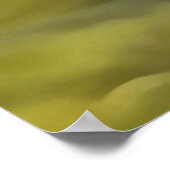 Groene kikkervisje tegen de weersrivierbedding poster (Hoek)