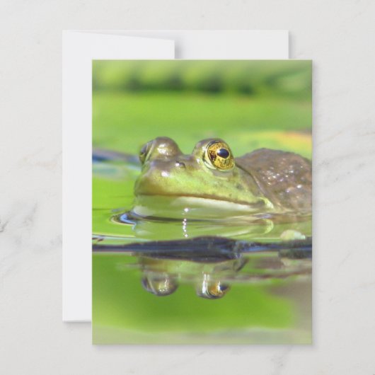 Groene kikkervisuitnodiging kaart (Voorkant)