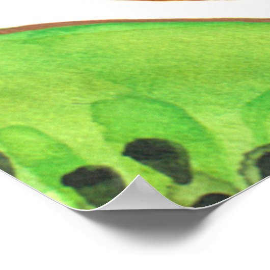 Groene Kiwi Fruit Waterverf Set Poster (Hoek)