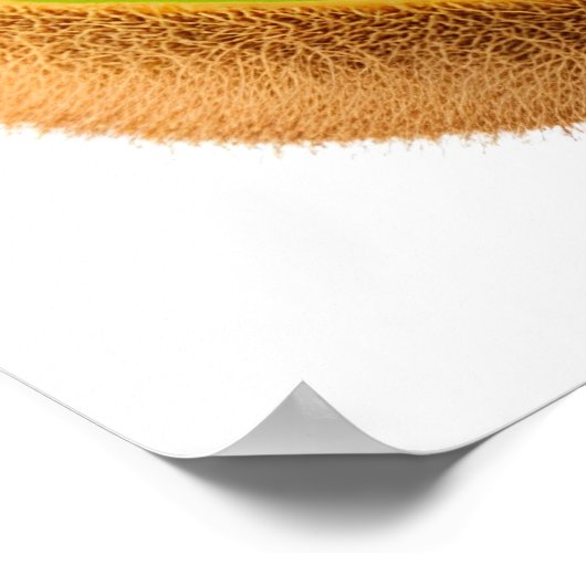 Groene kiwi-vruchten poster (Hoek)