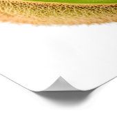 Groene kiwi-vruchten poster (Hoek)