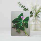 Groene Klaver Roze Bloesems St Patrick's Day Briefkaart (Staand voorkant)