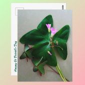 Groene Klaver Roze Bloesems St Patrick's Day Briefkaart