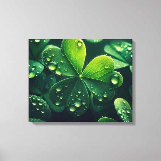 Groene klaverbladeren met waterdruppels - canvas afdruk (Voorkant)