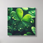 Groene klaverbladeren met waterdruppels - canvas afdruk (Voorkant)