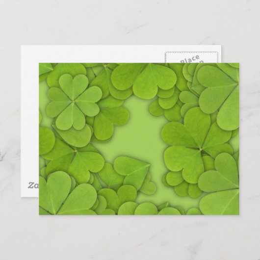 Groene Klavers Briefkaart (Voorkant / Achterkant)