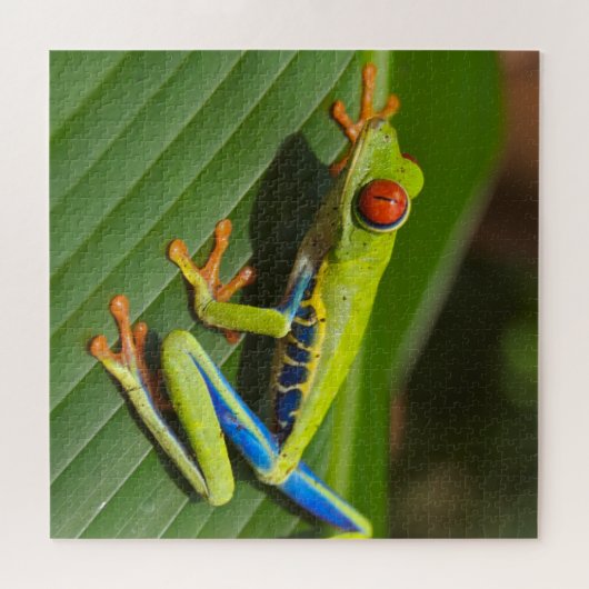 Groene kleurrijke Oerwoud kikker Legpuzzel (Horizontaal)