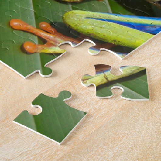 Groene kleurrijke Oerwoud kikker Legpuzzel (Zijkant)