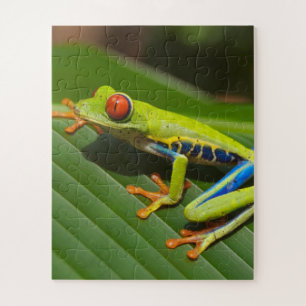 Groene kleurrijke Oerwoud kikker Legpuzzel