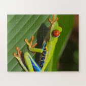 Groene kleurrijke Oerwoud kikker Legpuzzel (Horizontaal)