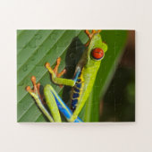 Groene kleurrijke Oerwoud kikker Legpuzzel (Horizontaal)