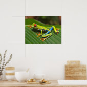 Groene kleurrijke Oerwoud kikker Poster (Keuken)