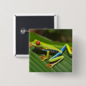 Groene kleurrijke Oerwoud kikker Vierkante Button 5,1 Cm (Voorkant /achterkant)