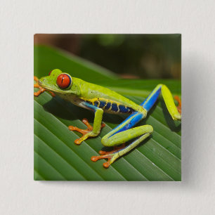 Groene kleurrijke Oerwoud kikker Vierkante Button 5,1 Cm