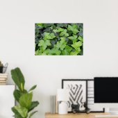 Groene klimop botanische print (Thuiskantoor)