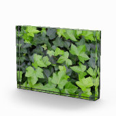 Groene klimop botanische print fotoblokken (Rechts)