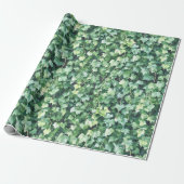 Groene klimop  cadeaupapier (Uitgerold)