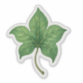 Groene klimopblad botanisch sticker (Voorkant)