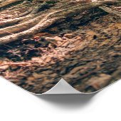 Groene Knob Trail Blue Ridge Mountains Poster (Hoek)