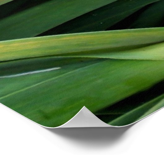 Groene Knoflook Poster (Hoek)