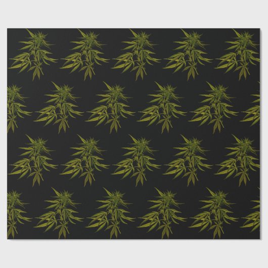 Groene knoppen op zwart, speciaal opvulpapier cadeaupapier (Vlak)