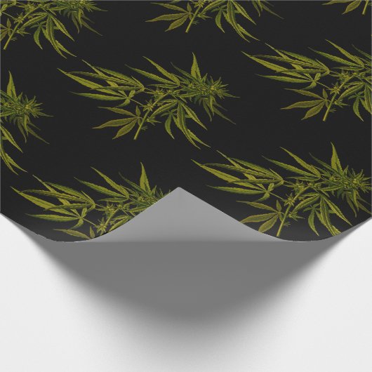 Groene knoppen op zwart, speciaal opvulpapier cadeaupapier (Hoek)