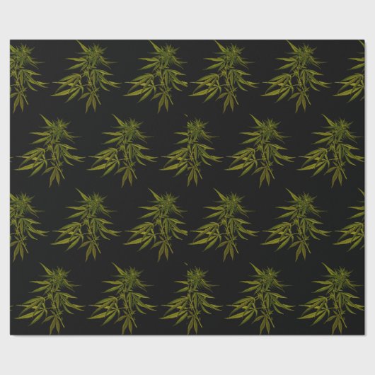 Groene knoppen op zwart, speciaal opvulpapier cadeaupapier (Zoom)