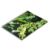Groene koffiebessen notitieboek (Linkerzijde)