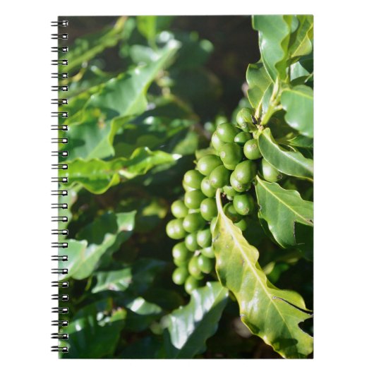Groene koffiebessen notitieboek (Voorkant)