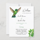 Groene Kolibrie Bladerrijke Botanische Rand Bruilo (Voorkant)