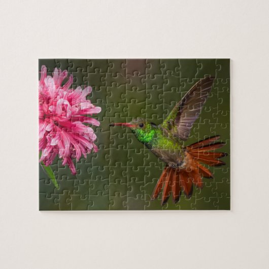 Groene kolibrie en bloempuzzel legpuzzel (Horizontaal)