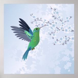 Groene kolibrie met blauw Cherry Blossom Poster