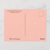 Groene kolibrie Voeding op een Oranje ventilator Briefkaart (Achterkant)