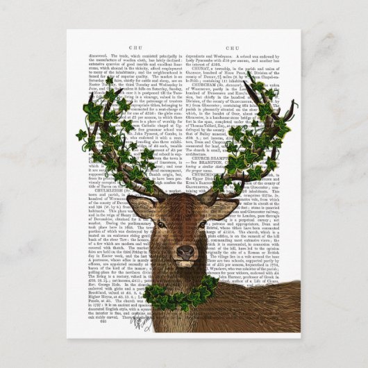 Groene koning briefkaart (Voorkant)