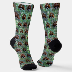 Groene koning Charles Cavalier Spaniel, Crew-Sokke Sokken